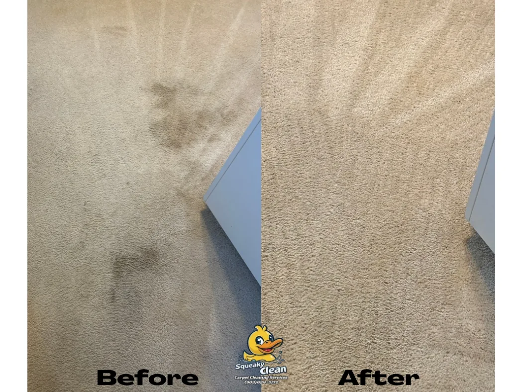 Beige carpet — spot stains removed · Fort Worth