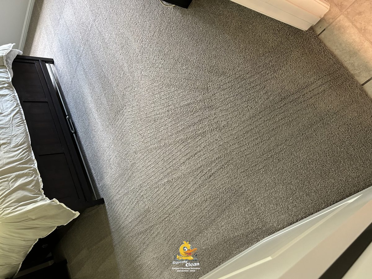Move In — Carpet Cleaning