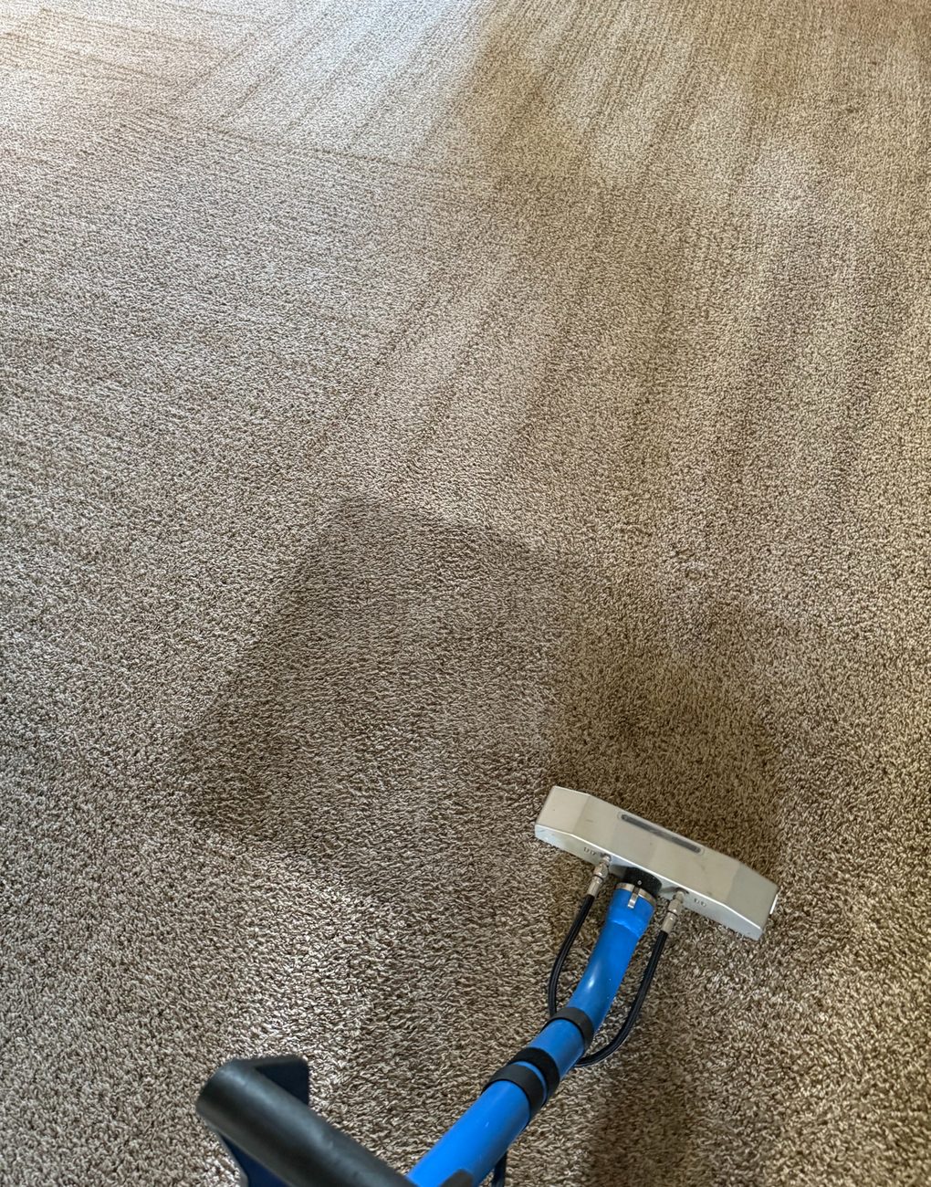 Mid-clean — the Squeaky difference