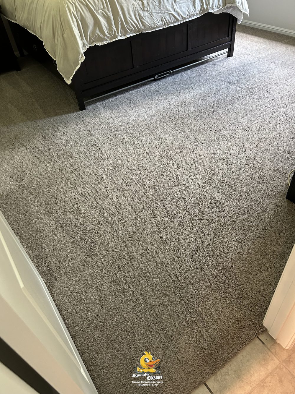 Move In — Carpet Cleaning · Azle — Squeaky Clean in Tarrant County