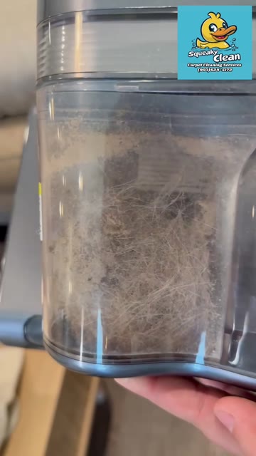 A clear waste tank full of dirt and hair pulled out of one couch